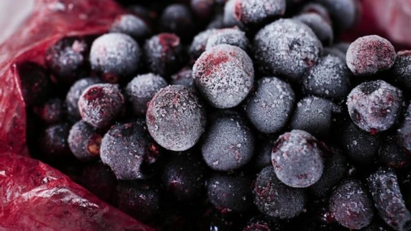 The best ways to freeze blackcurrants for the winter in the freezer