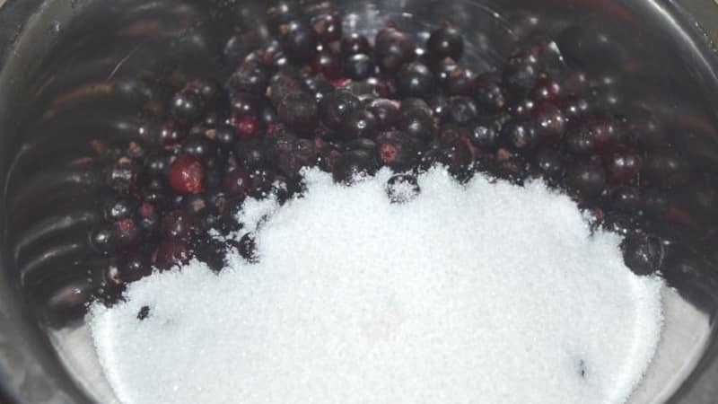 The best ways to freeze blackcurrants for the winter in the freezer