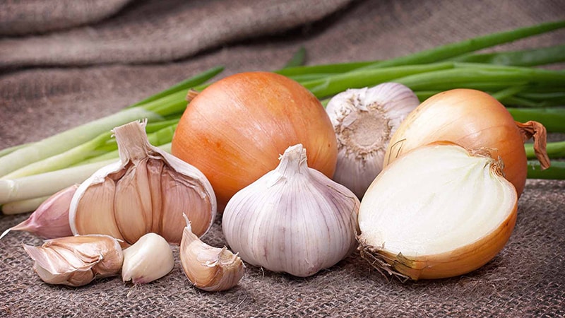 Is it possible to eat onions during pregnancy and at what stage?