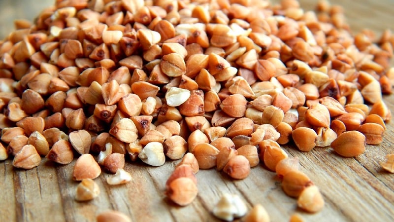 Can adults be allergic to buckwheat?