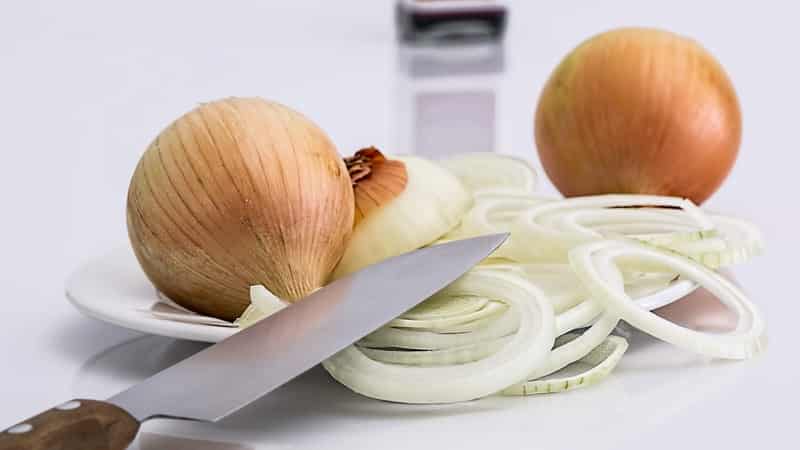 We choose fertilizer for onions in the spring and apply it correctly to get a rich harvest