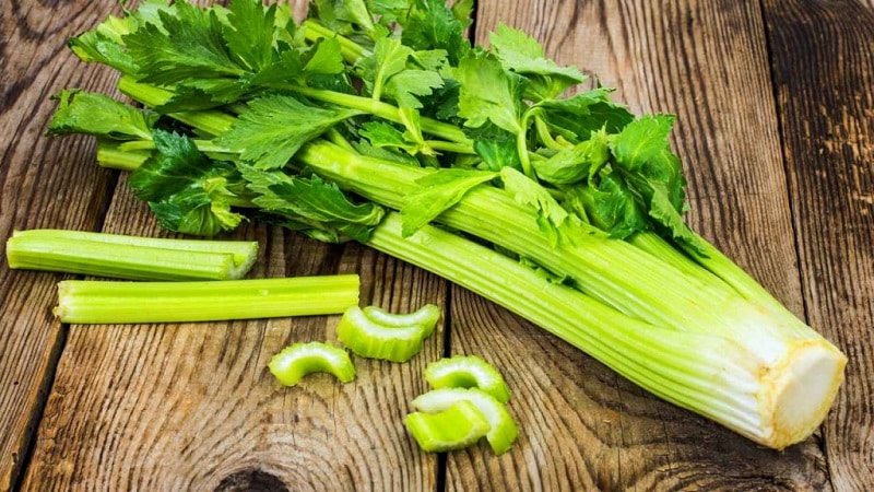 The Incredible Benefits of Celery for Men