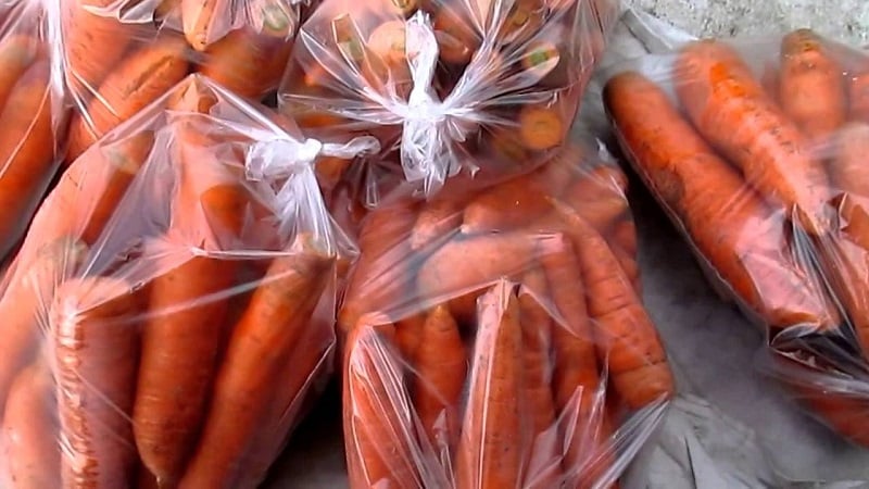 Features of storing carrots in bags underground in winter