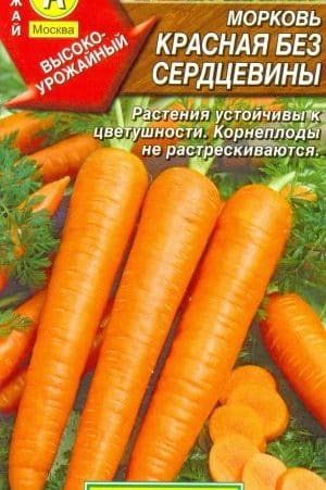 Features of red carrots without core