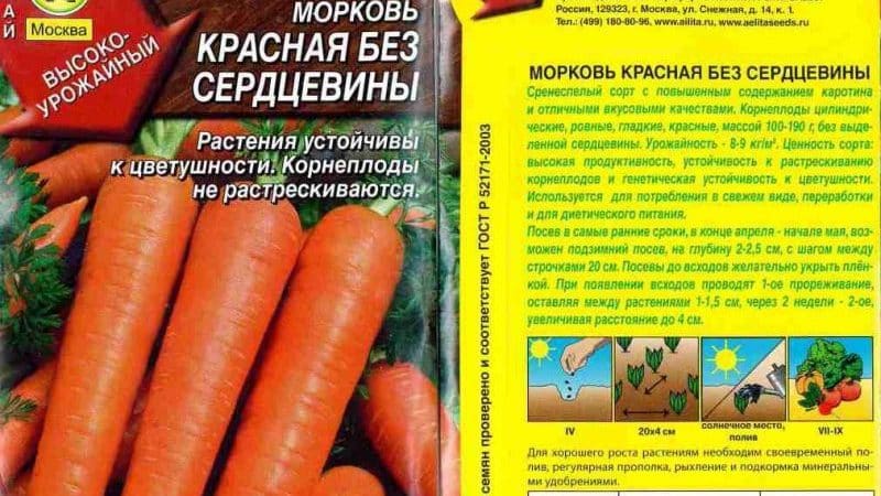 Features of red carrots without core