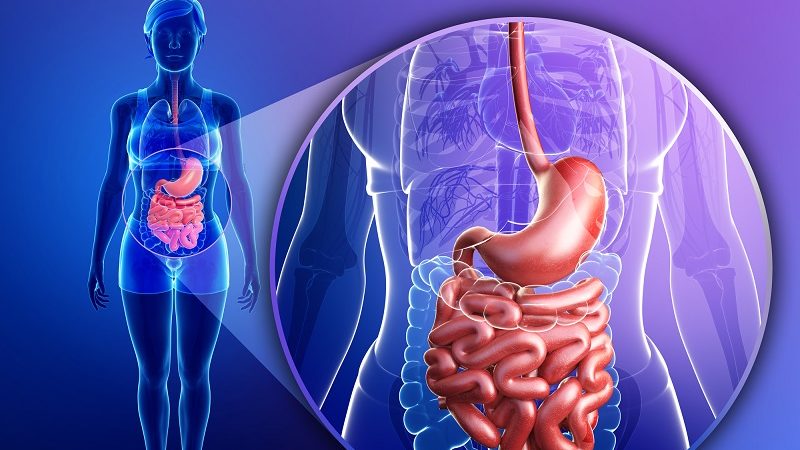 Features of buckwheat digestion: how long does it take to digest