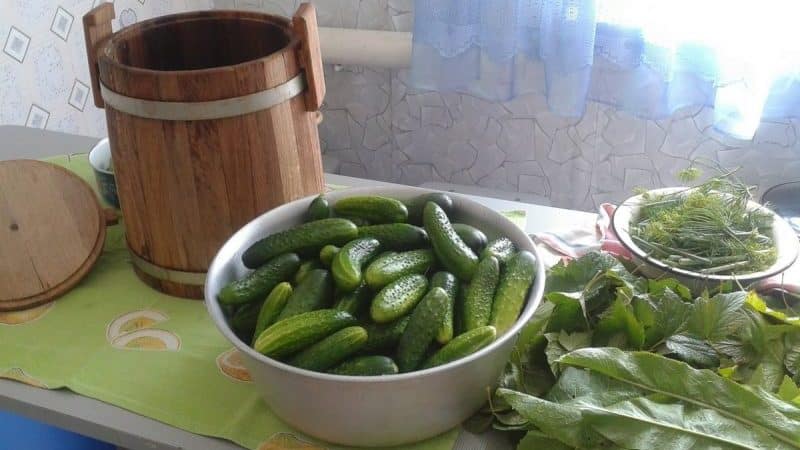 Features of pickling cucumbers for the winter in a barrel: cold pickling recipes