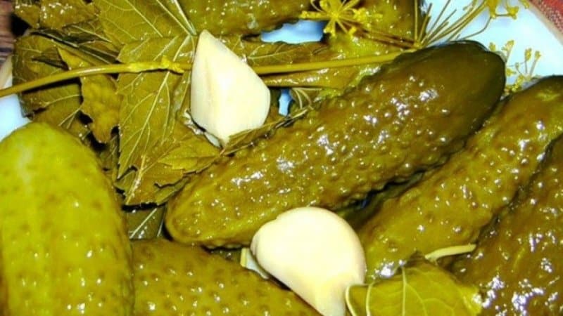 Features of pickling cucumbers for the winter in a barrel: cold pickling recipes