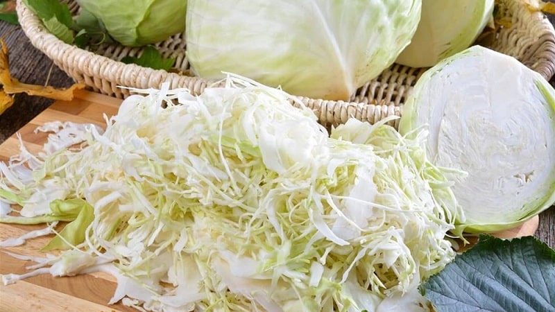 Making preparations wisely: why sauerkraut becomes soft and not crunchy and how to avoid it