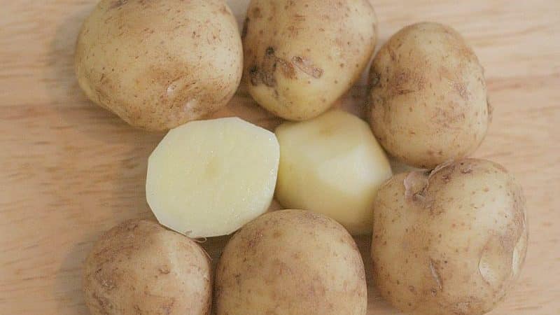 Detailed description and advice from agronomists on potato varieties: Petersburg, Barin, Leader and others