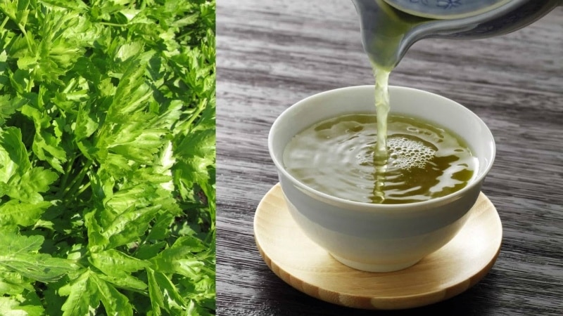 Useful properties of parsley decoction and how to prepare it correctly