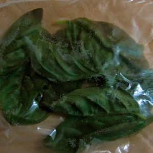 How to properly freeze basil for the winter: a selection of the best methods