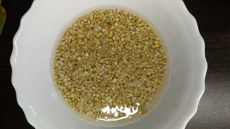 How to properly germinate green buckwheat at home