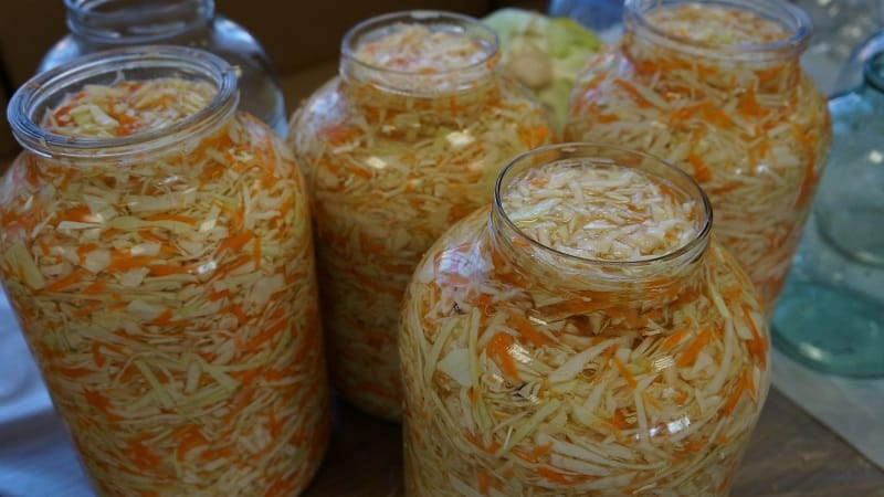 Simple and tasty recipes for pickling cabbage in brine with salt and sugar