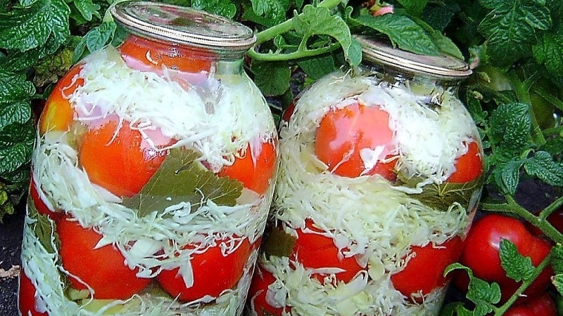 When is the best time to cut cabbage for pickling?
