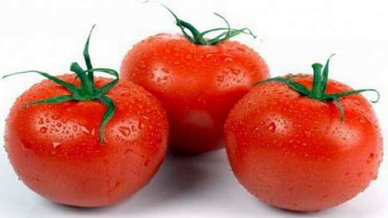 Varieties of tomato varieties and hybrids and their characteristics