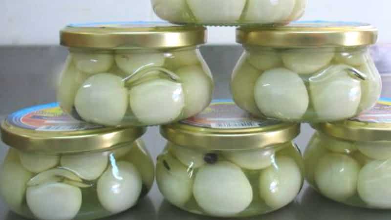 Onions in jars for the winter: how to pickle them correctly