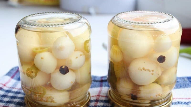 Onions in jars for the winter: how to pickle them correctly