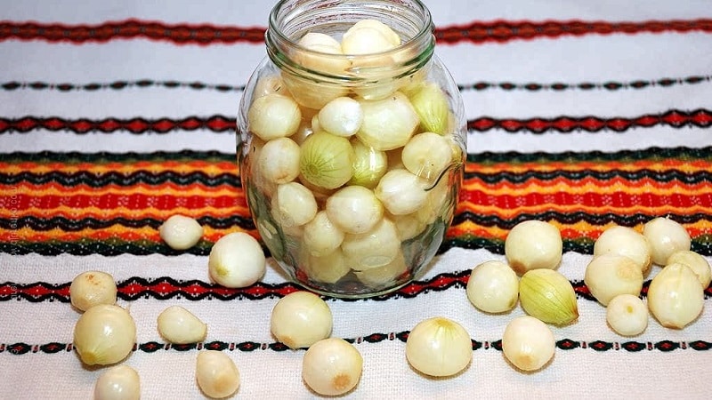 Onions in jars for the winter: how to pickle them correctly