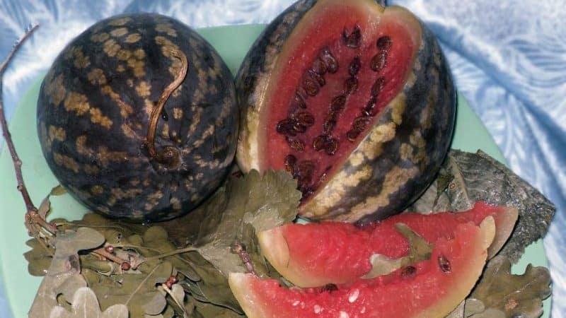A classic recipe for watermelons soaked in a barrel at home and various additive options
