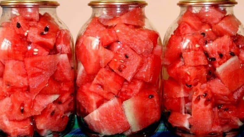 Recipes for canned watermelons for the winter without sterilization