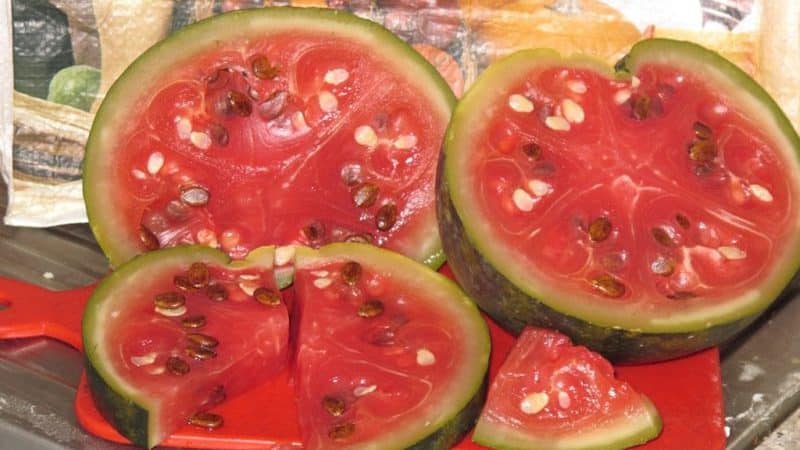 Delicious recipes for soaked watermelons: in a pan, jar and barrel