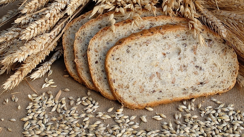 Rye in folk medicine: benefits and harms
