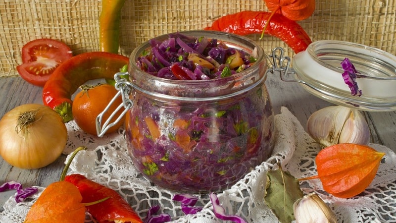 The most delicious recipes for pickled red cabbage for the winter