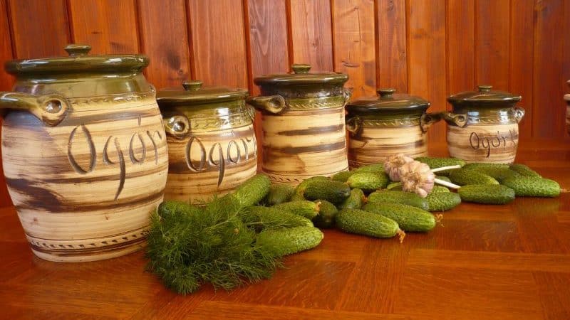 Secrets of preserving sliced ​​cucumbers for the winter: recipes without sterilization with garlic