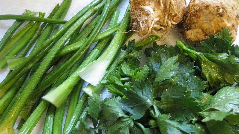 Celery: what it tastes like, what it looks like and how to use it correctly