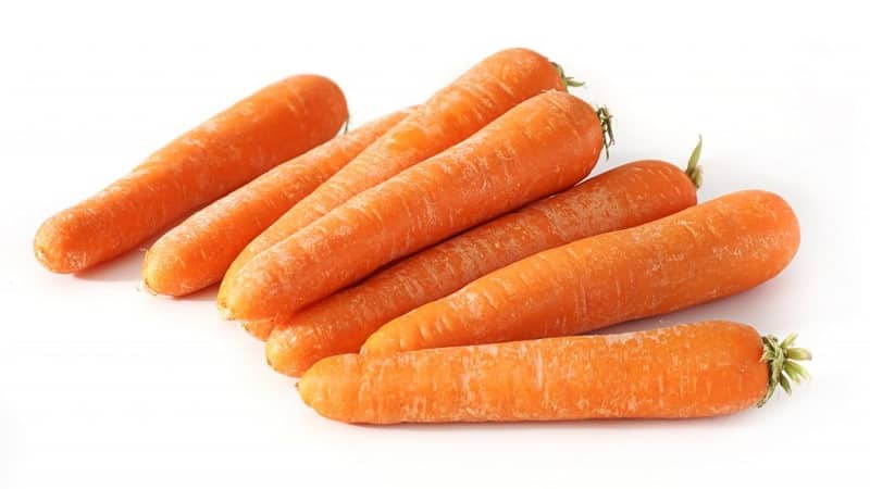 Sweet mid-season carrot variety Nantes 4