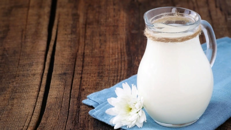 Compatibility of watermelon with milk and other products