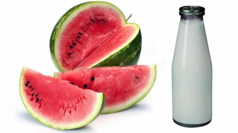 Compatibility of watermelon with milk and other products