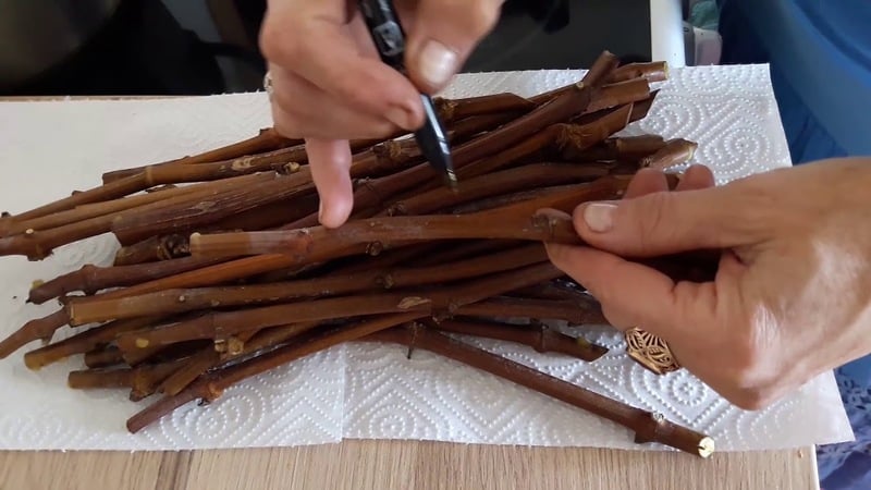Proven methods for storing grape cuttings in winter and checking them before planting