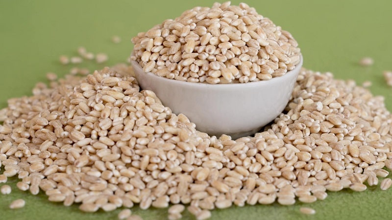 Comparative analysis of buckwheat and pearl barley: which cereal is healthier, which has more calories