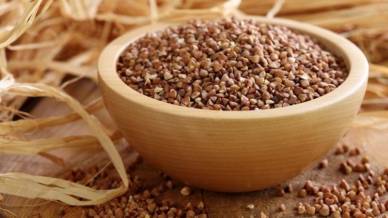 Comparative analysis of buckwheat and pearl barley: which cereal is healthier, which has more calories
