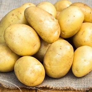 Mid-early potato variety, resistant to diseases - Bryansk delicacy