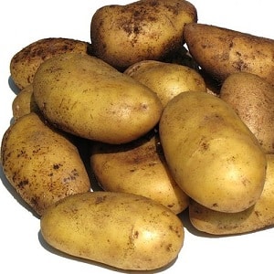 Mid-early potato variety, resistant to diseases - Bryansk delicacy