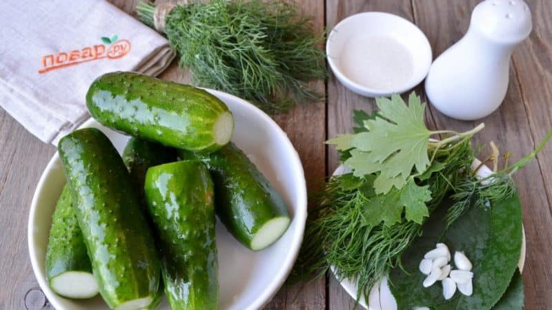 Simple and tasty ways to dry pickle cucumbers in a jar, bag and barrel
