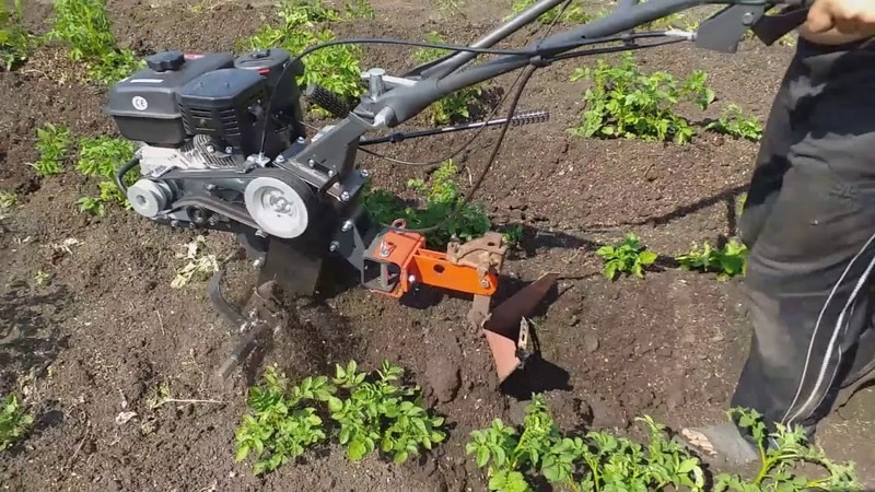Technology for planting potatoes with a walk-behind tractor