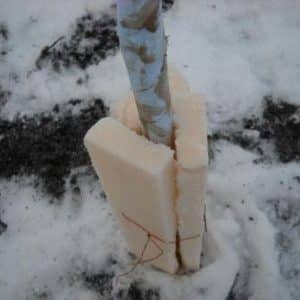 How to properly cover an apricot for the winter and prepare the tree for cold weather