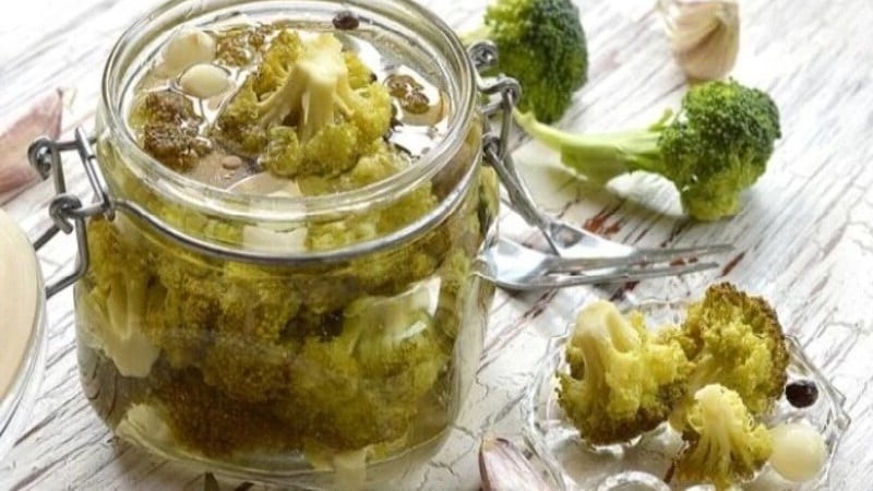 Delicious recipes for preparing pickled broccoli for the winter from experienced housewives