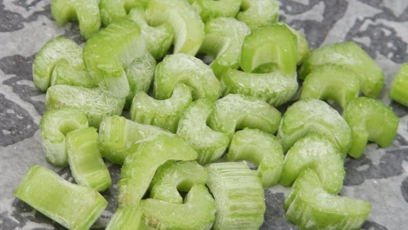 How to freeze celery for the winter and is it possible to preserve its beneficial properties?