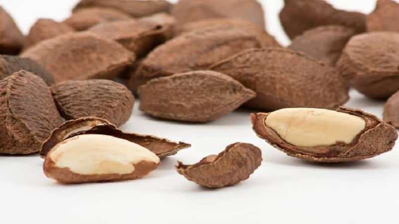 Benefits of Brazil nuts for women