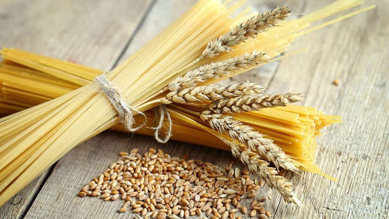 What is durum wheat: description, scope of application and differences from soft varieties