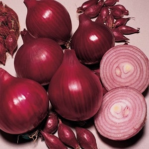 Sweet, spicy and moderately spicy purple onions and their varieties