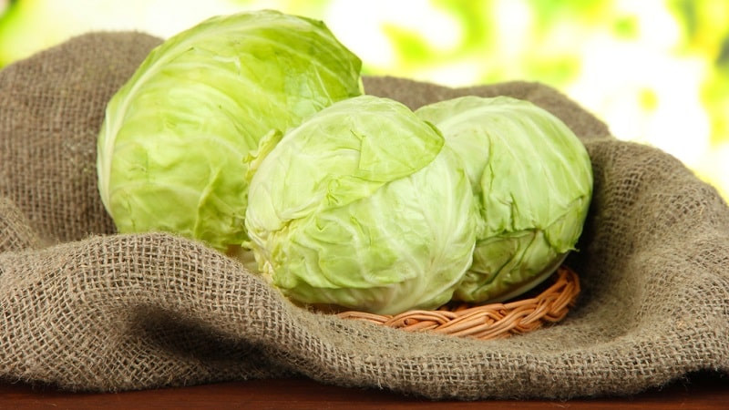 Proven ways to store early cabbage until spring