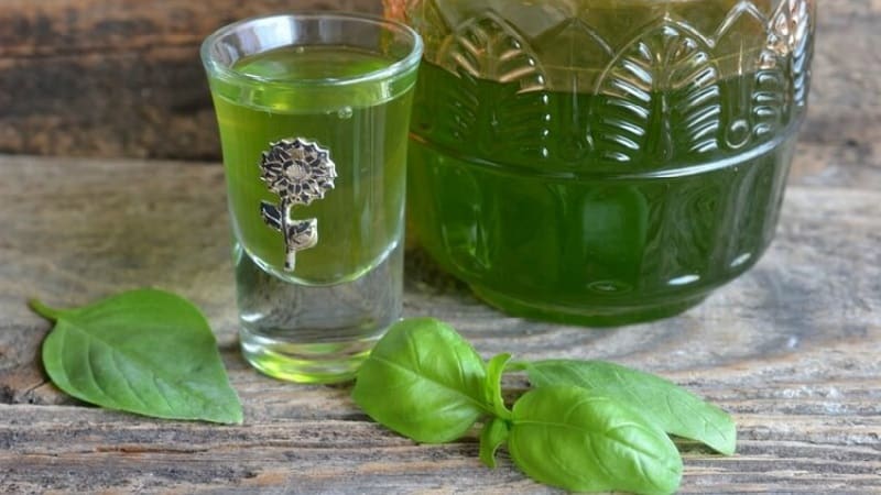 How to prepare and take basil remedies for weight loss