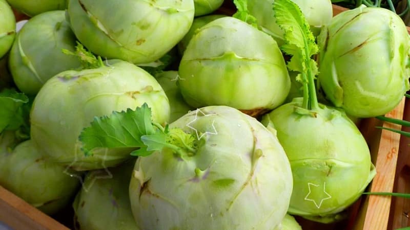 What is the name of cabbage that looks like a turnip?