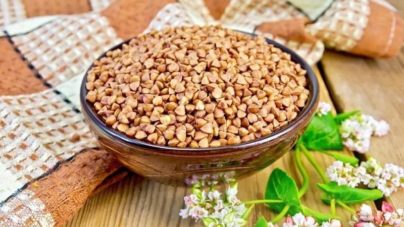 What is the largest variety of buckwheat - detailed description